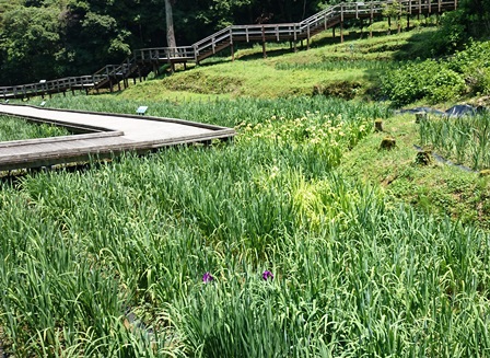 5/22①