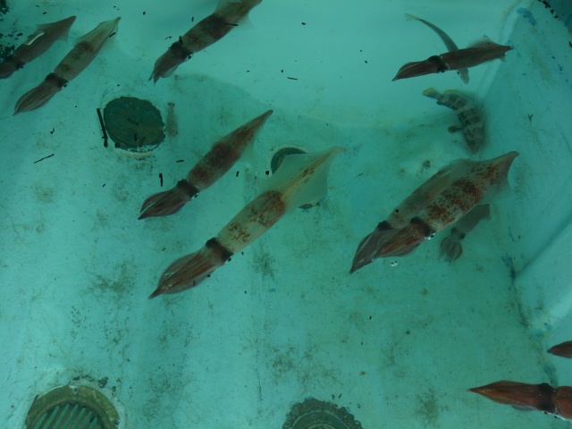 DCIM0104