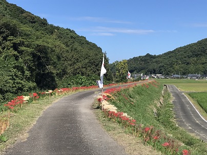 なびく🏳カーブ