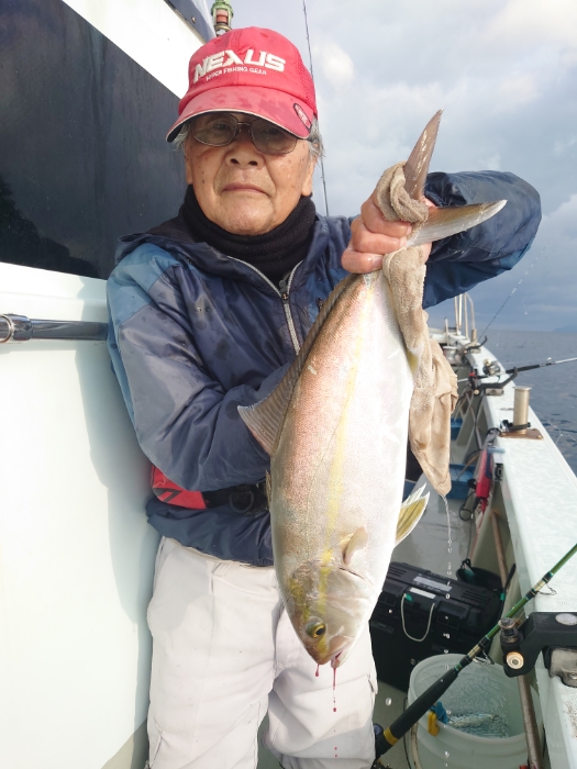 落とし込み釣り