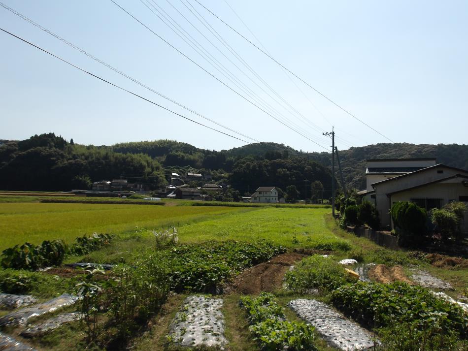 20251007古江 (2)