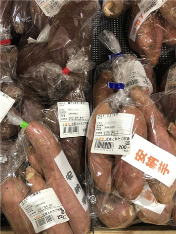 食に関する研修
