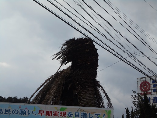 ヤシの像