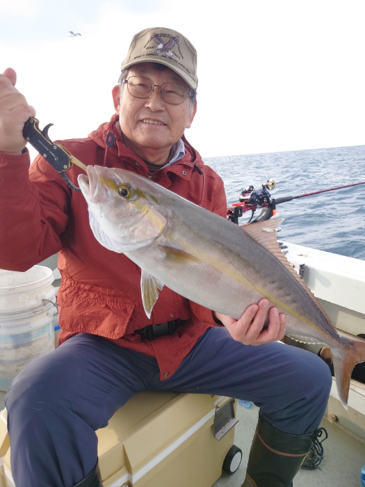 イワシ泳がせ釣り