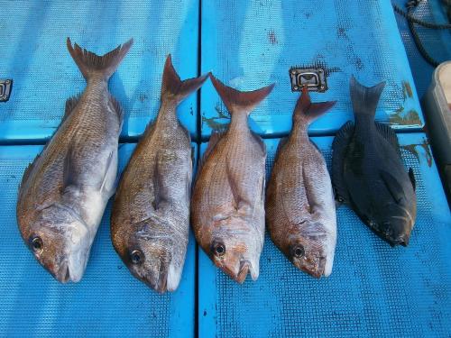 ウキ流し釣り