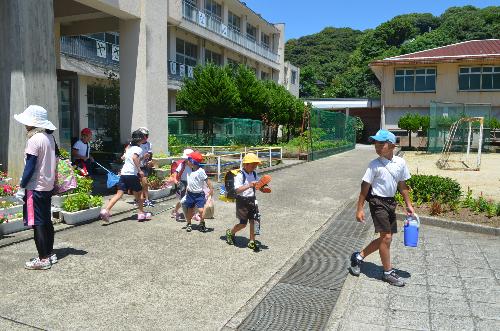 海の学習