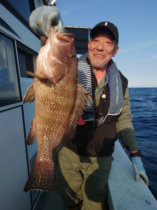 冷凍イワシと切り身釣り
