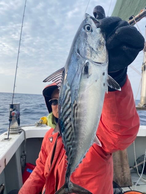 スロージギング