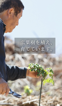 山の未来を、次の世代へ。広葉樹を育てています。