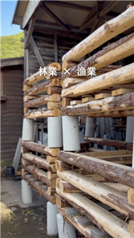 「林・漁」連携の試み