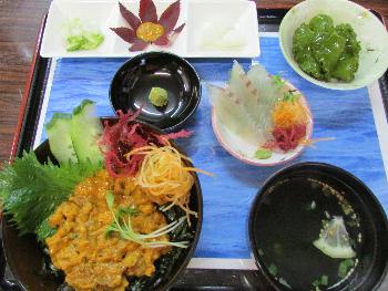 ウニ丼