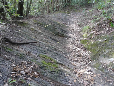 姫浦層群の地層と登山道（縮小950×720）（縮小380×288）