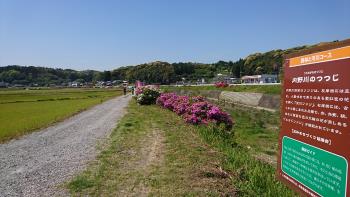 つつじ(看板)