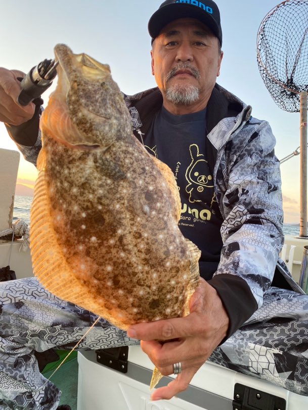 鯵の泳がせ　アコウ狙い募集