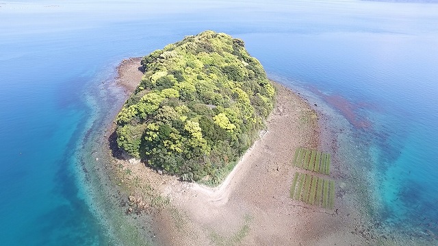 0.惣津島