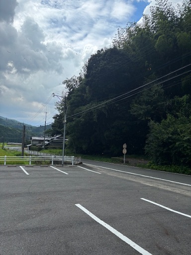 落ち葉舞う