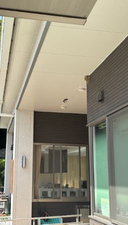 巣の取り合い合戦