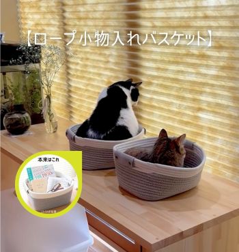 《私の推し》ニトリ商品
