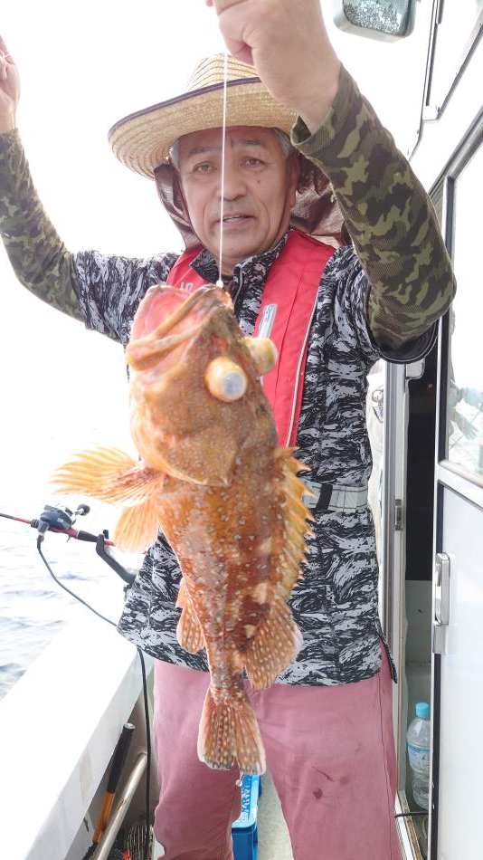 泳がせ釣り