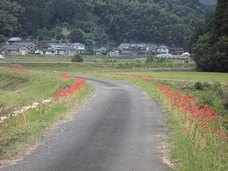 宮本２０１７　３