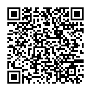 本格始動！①4/18 ②4/29 ③5/5　スタートアップ料金での募集です！