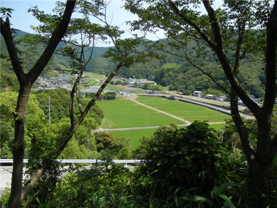 下田南（R3）7