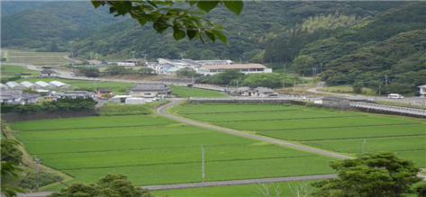 下田南１