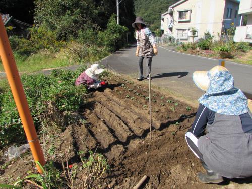 031026-花いっぱい運動