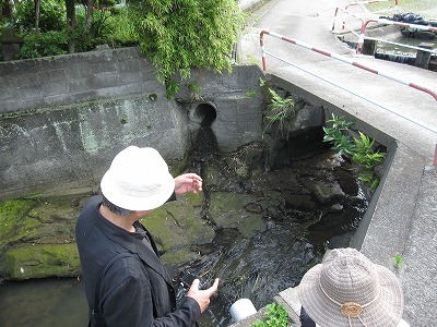 めがね橋の原型馬場の石橋