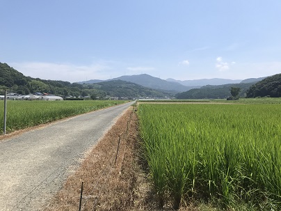 秋の空