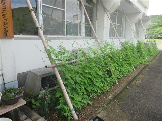 ぐんぐん成長🍀