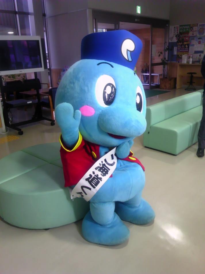 海道くん
