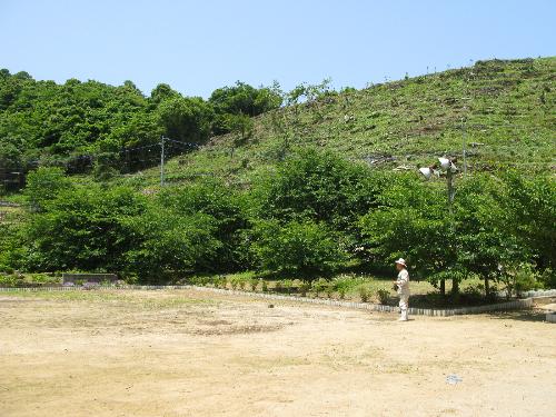 頂上登り口