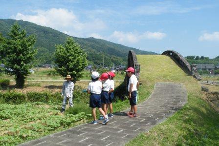 H29_眼鏡橋公園ひまわり除草03