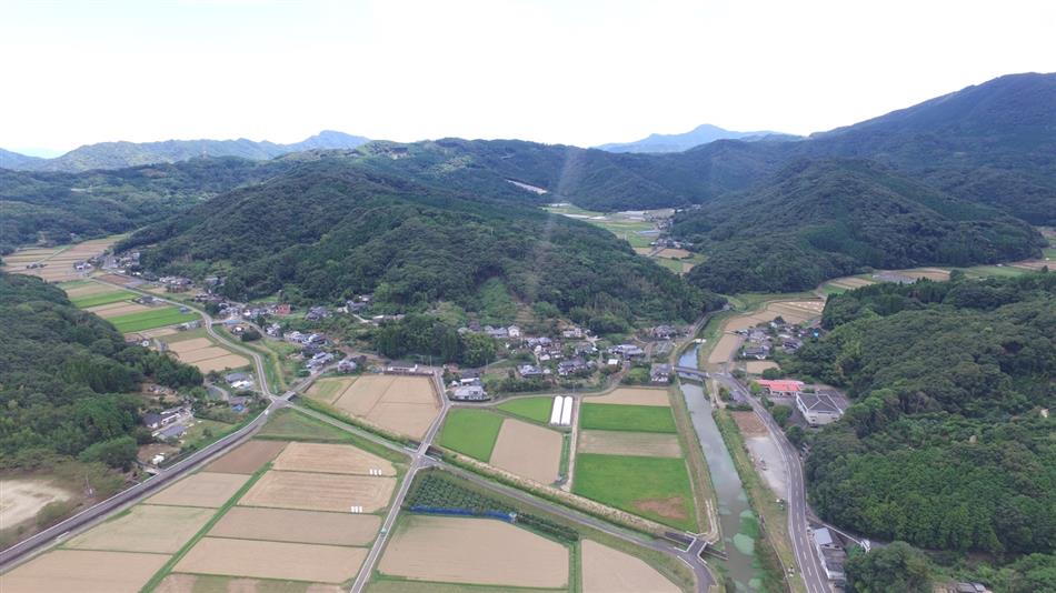 楠甫全体写真