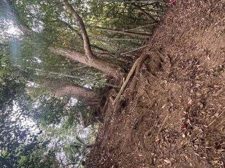 R8菅原道真様？