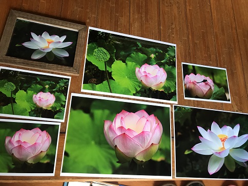 写真の写真