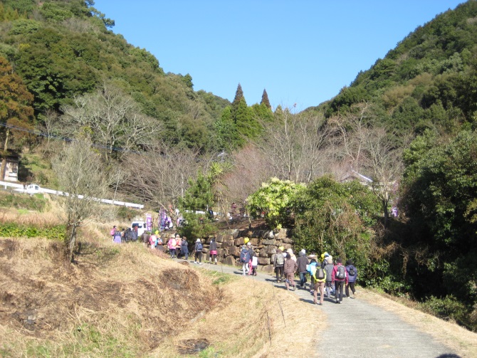 楠甫1