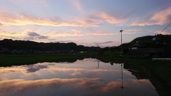 志田の原付近（田んぼ）