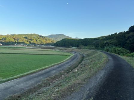 作業後①