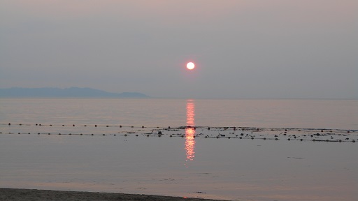 夕日２０１８　夏