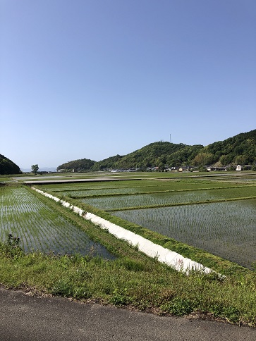 事業報告　みどり