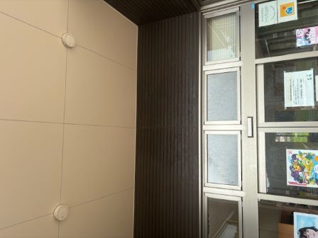 奇麗に巣