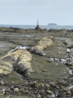 広い海