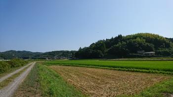 志田の原付近（田んぼ）2