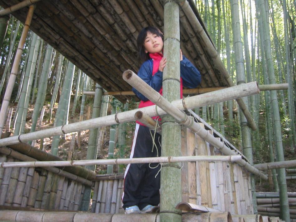 山登り