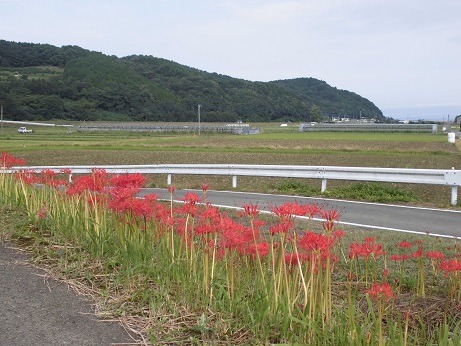 宮本　２０１７　１