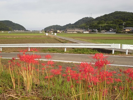 宮本２０１７　２