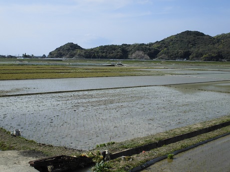 ２０１６　田植え終了