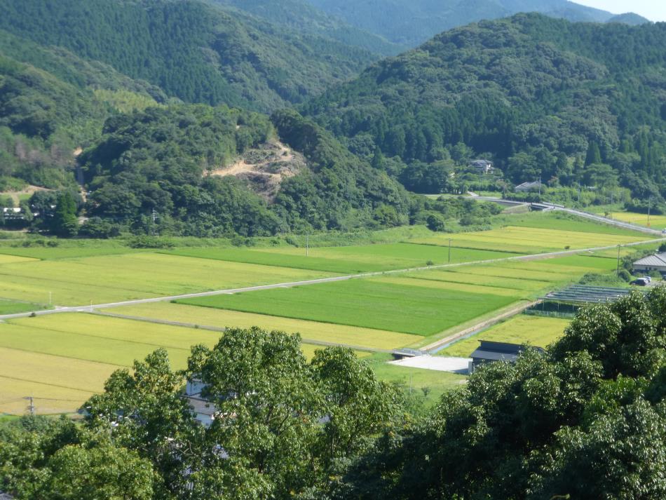 田園風景３